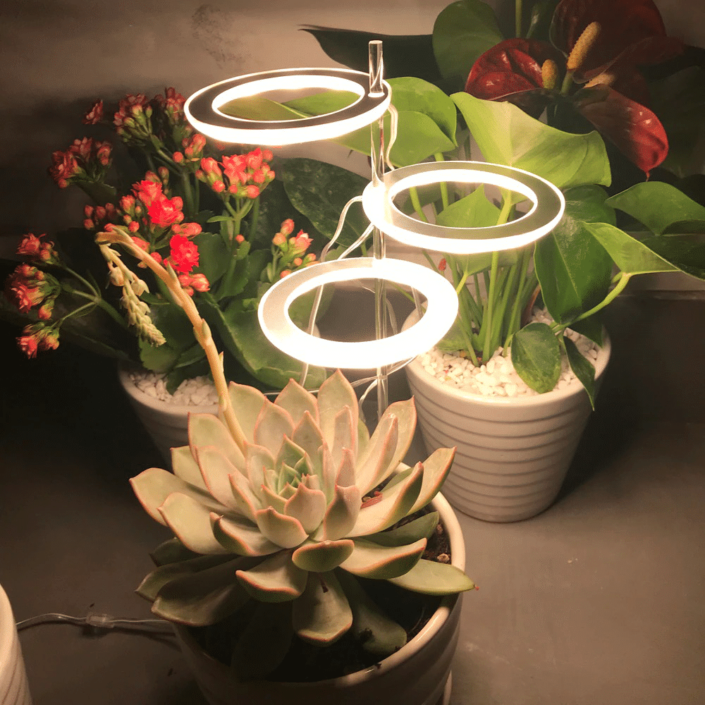 GrowHalo™️ -  Angel Three Ring Grow Light For Indoor Plant