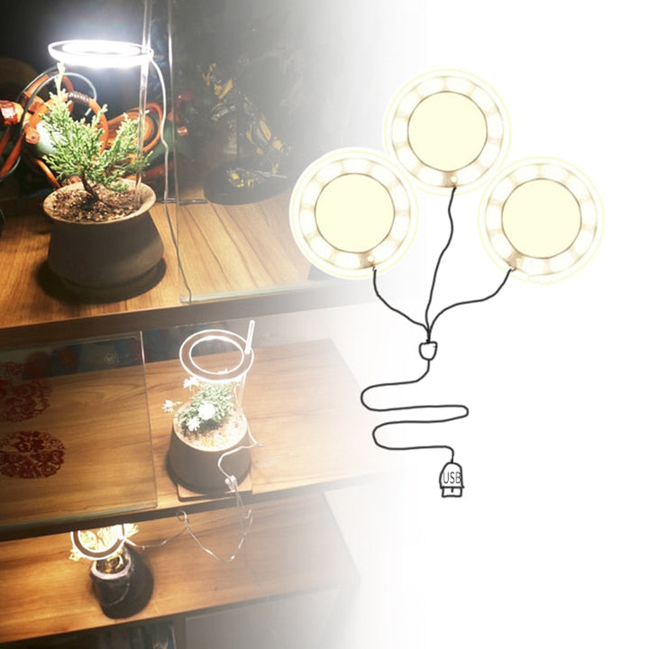 GrowHalo™️ -  Angel Three Ring Grow Light For Indoor Plant