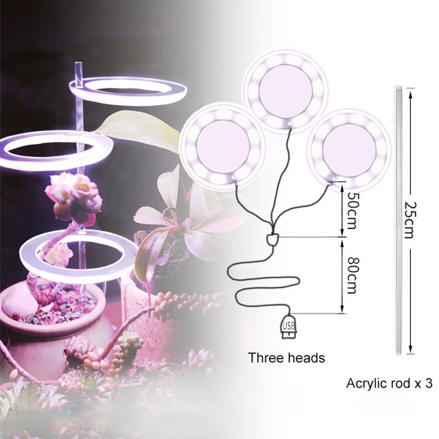 GrowHalo™️ -  Angel Three Ring Grow Light For Indoor Plant