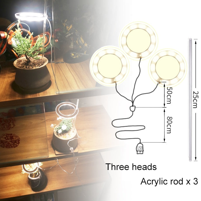 GrowHalo™️ -  Angel Three Ring Grow Light For Indoor Plant