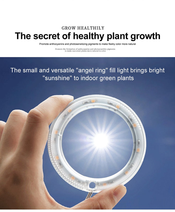 GrowHalo™️ -  Angel Three Ring Grow Light For Indoor Plant
