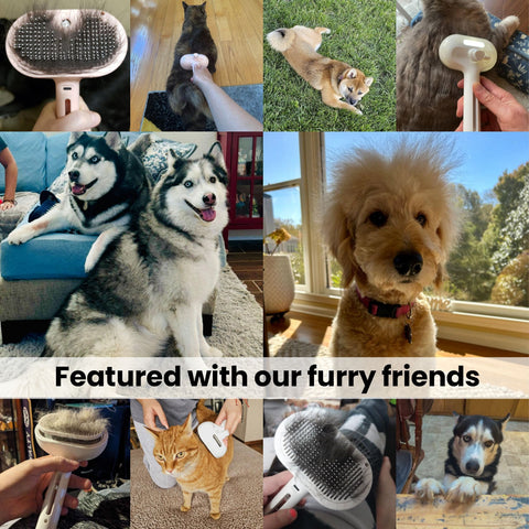 Pawlish™ Pet Grooming Brush