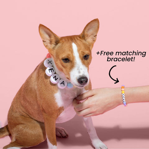 Matchie™ Custom BFF Dog Collar + Free Matching Bracelet