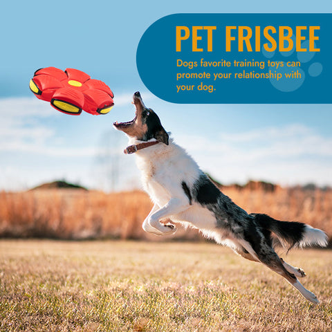 🐾CosmoFetch™ Pet Toy Flying Saucer Ball