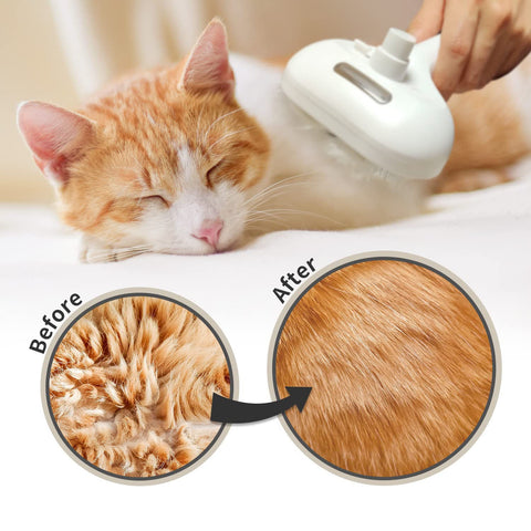 Pawlish™ Pet Grooming Brush
