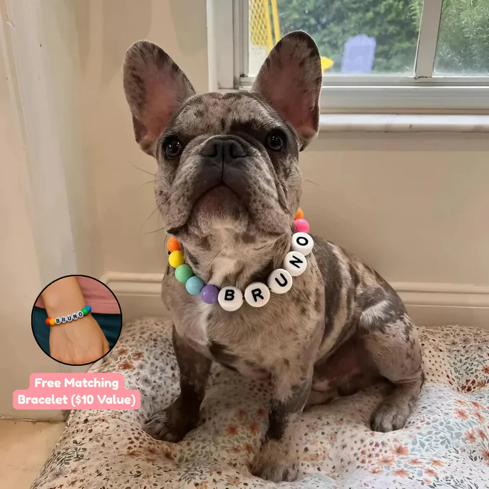 Matchie™ Custom BFF Dog Collar + Free Matching Bracelet