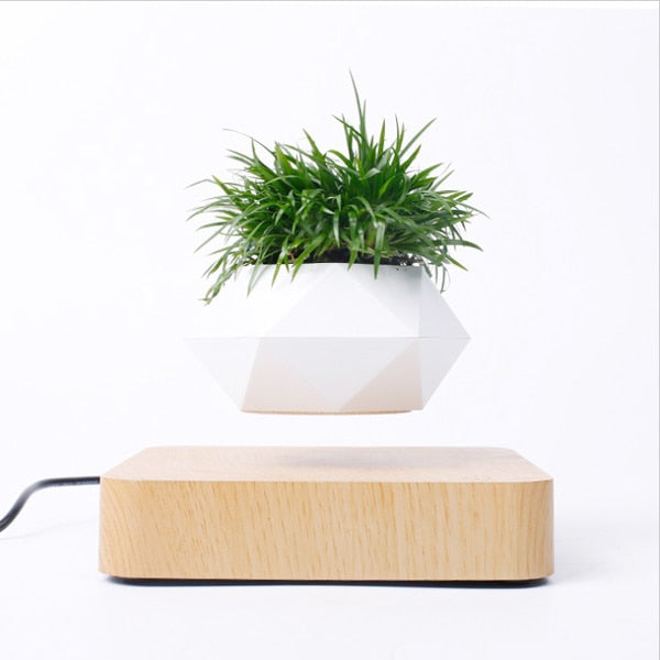 HoverPot™️- New Led Levitating Flower Pot