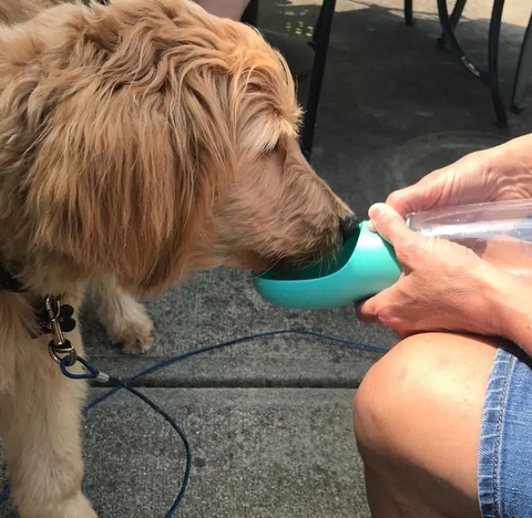 BudFeedZ™ Multifunctional Dog Water Bottle