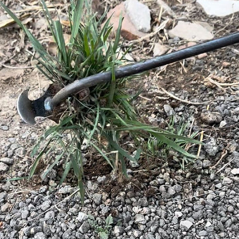 EcoWeeder™ Precision Weeding Tool