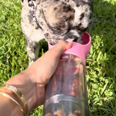 BudFeedZ™ Multifunctional Dog Water Bottle