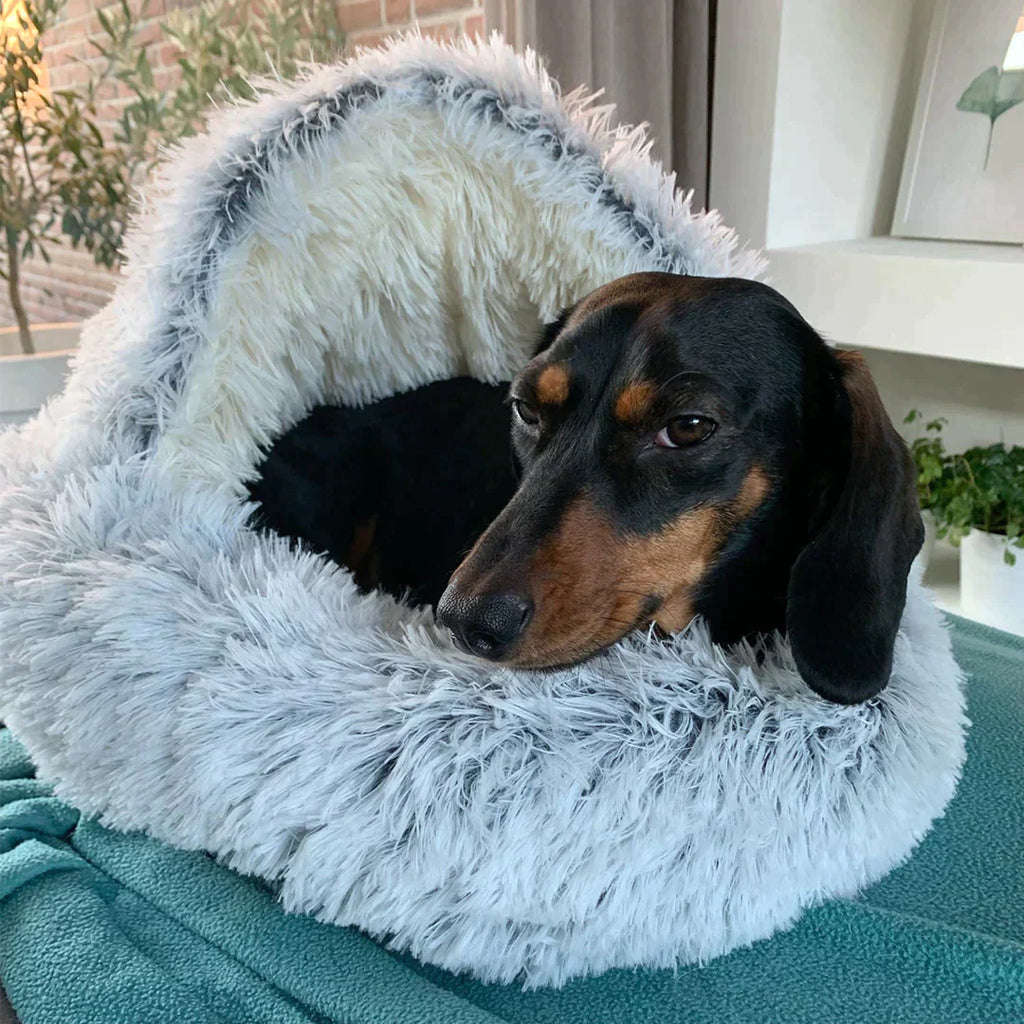 CozyPaws™ Stress Relief Pet Bed