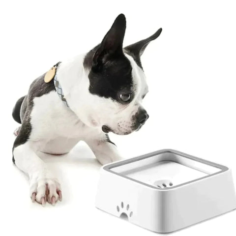 SplashLock™ Non-Spill Pet Hydrator Bowl